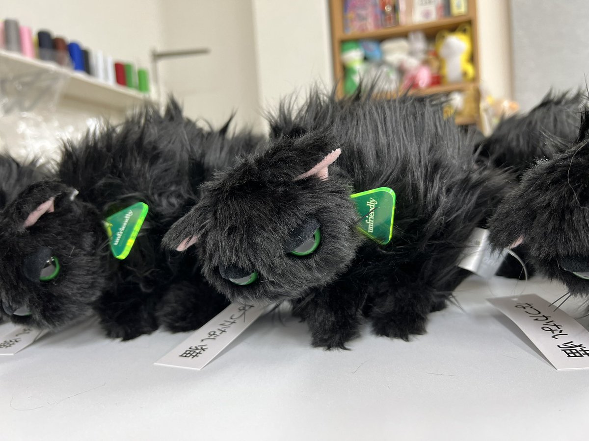 せこなお なつかない猫 黒猫 ぬいぐるみ mokemono せこなお なつかない猫 黒猫 ぬいぐるみ mokemono 61McMgDrq9L
