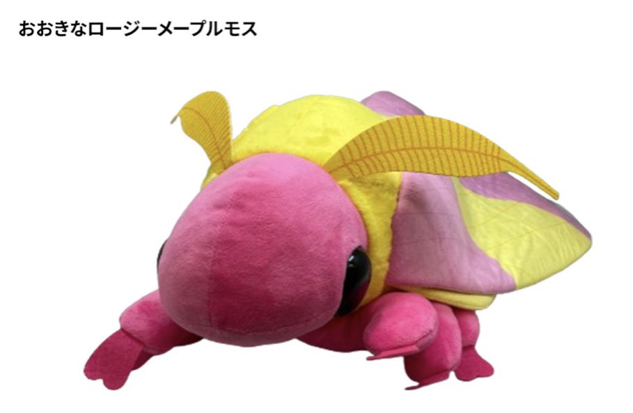 公式】特別展「昆虫 MANIAC」 on X: 公式】特別展「昆虫 MANIAC」 on X: