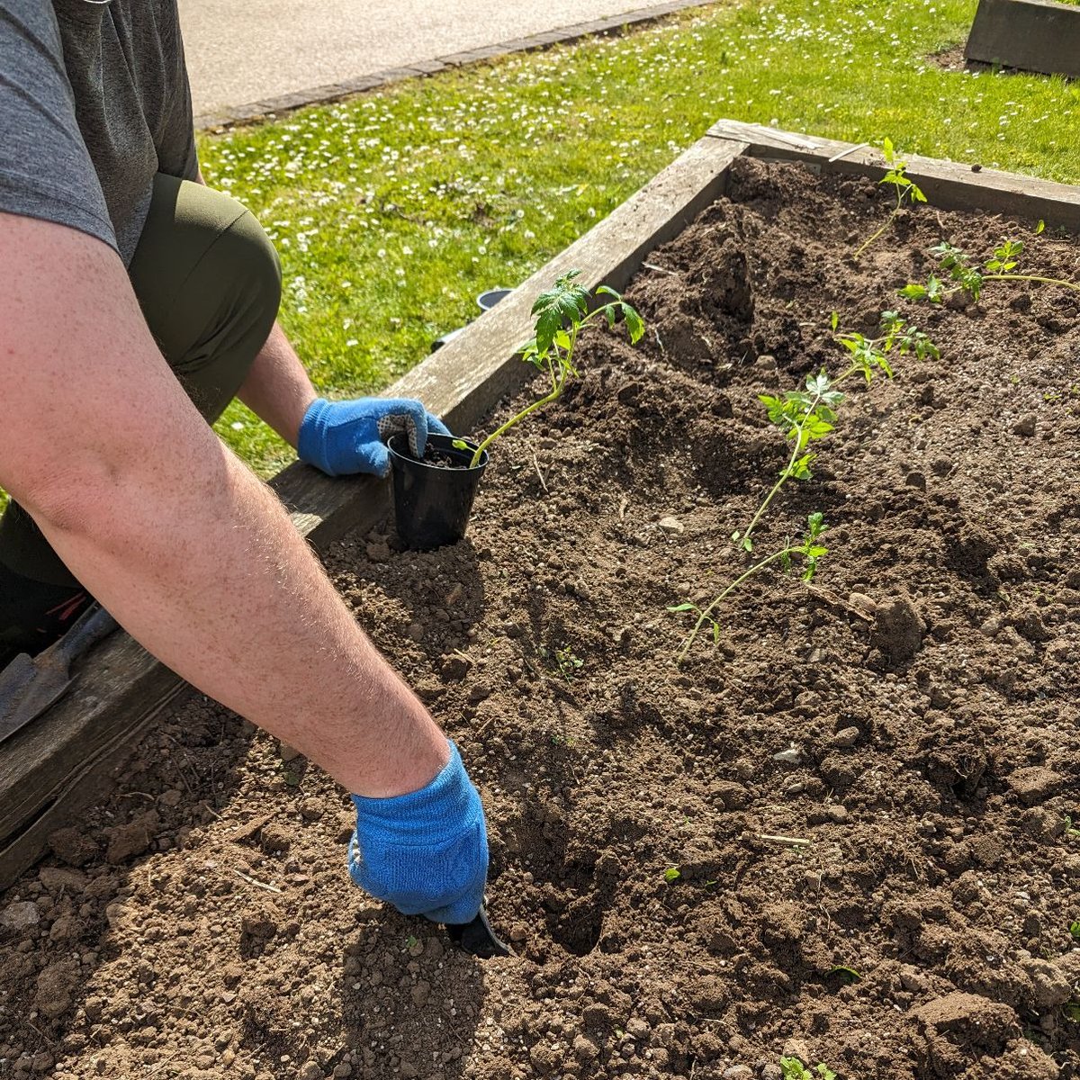 Look at them grow! 🌱

Join our weekly gardening club , you wont want to miss out!! 💙

#영국유학 #留学 #英国 #حياة الابتعاث #studyabroad #uniofyorkipc #internationalstudent #유학 #英国留学 #留学
#英国 #الدراسة في بريطانيا #الابتعاث #英国留学生 #Kaplanlife #kaplanpathways
