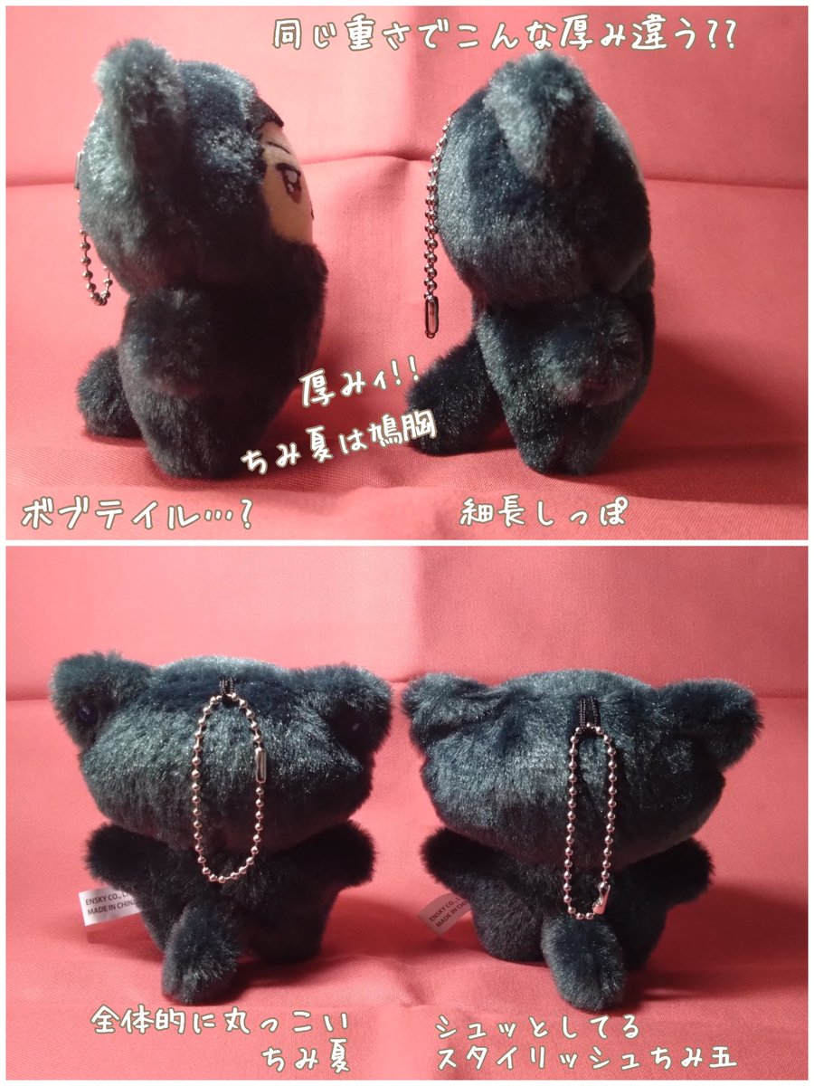 ハチミツ@雑食 tweet media