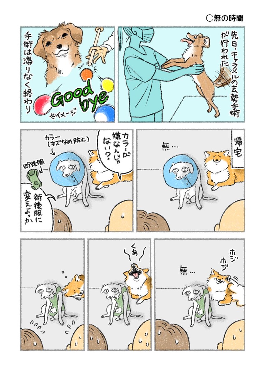 『無の時間』/『できれば愛を』 