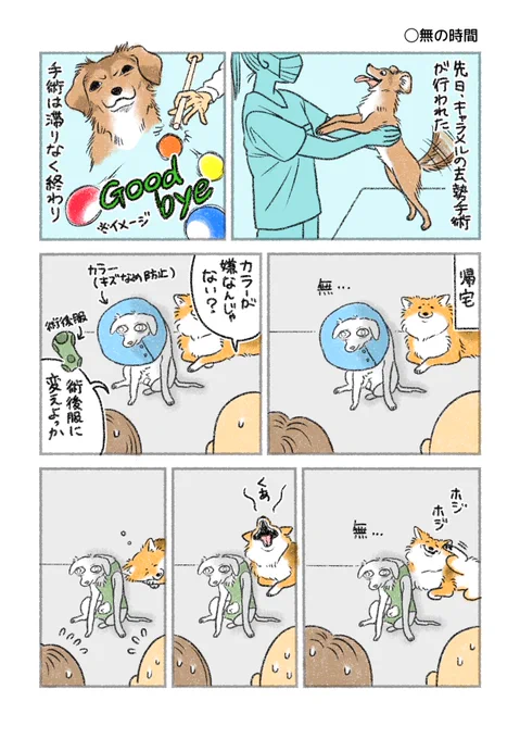 『無の時間』/『できれば愛を』 