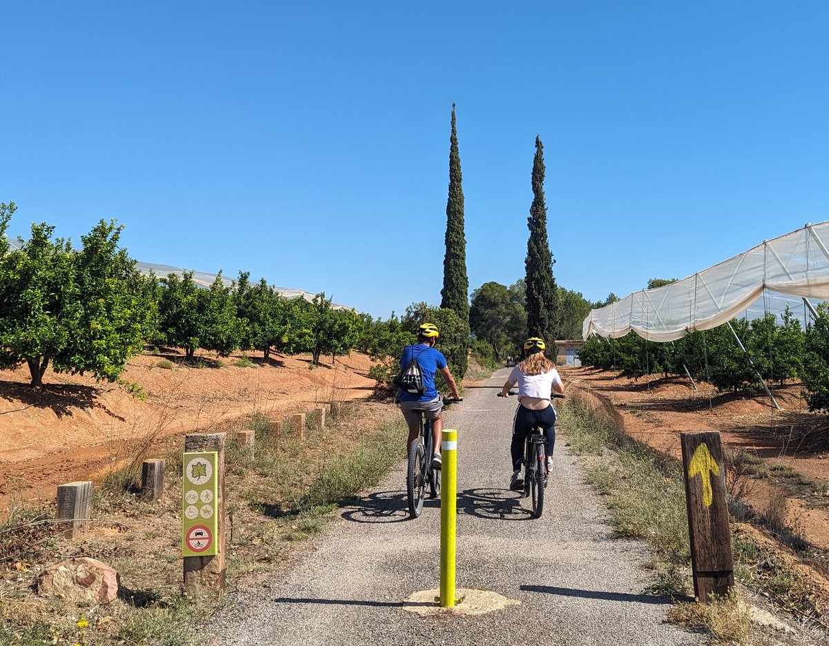 La Vía Verde Ojos Negros es la más larga de España y una de las mejores vías verdes de España para hacer en bicicleta 🚴. Atraviesa tres provincias: Teruel, Castellón y Valencia. ¡Está señalizada con flechas amarillas porque comparte el Camino de Levante a Santiago!
#TurismeCV