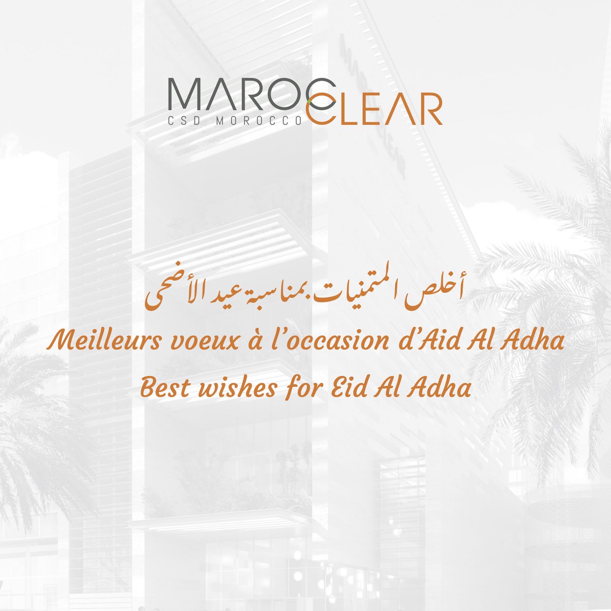 Maroclear tweet media