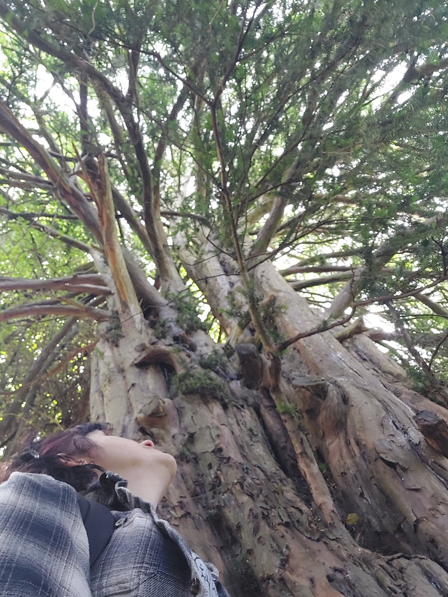 Kate Garrett tweet media