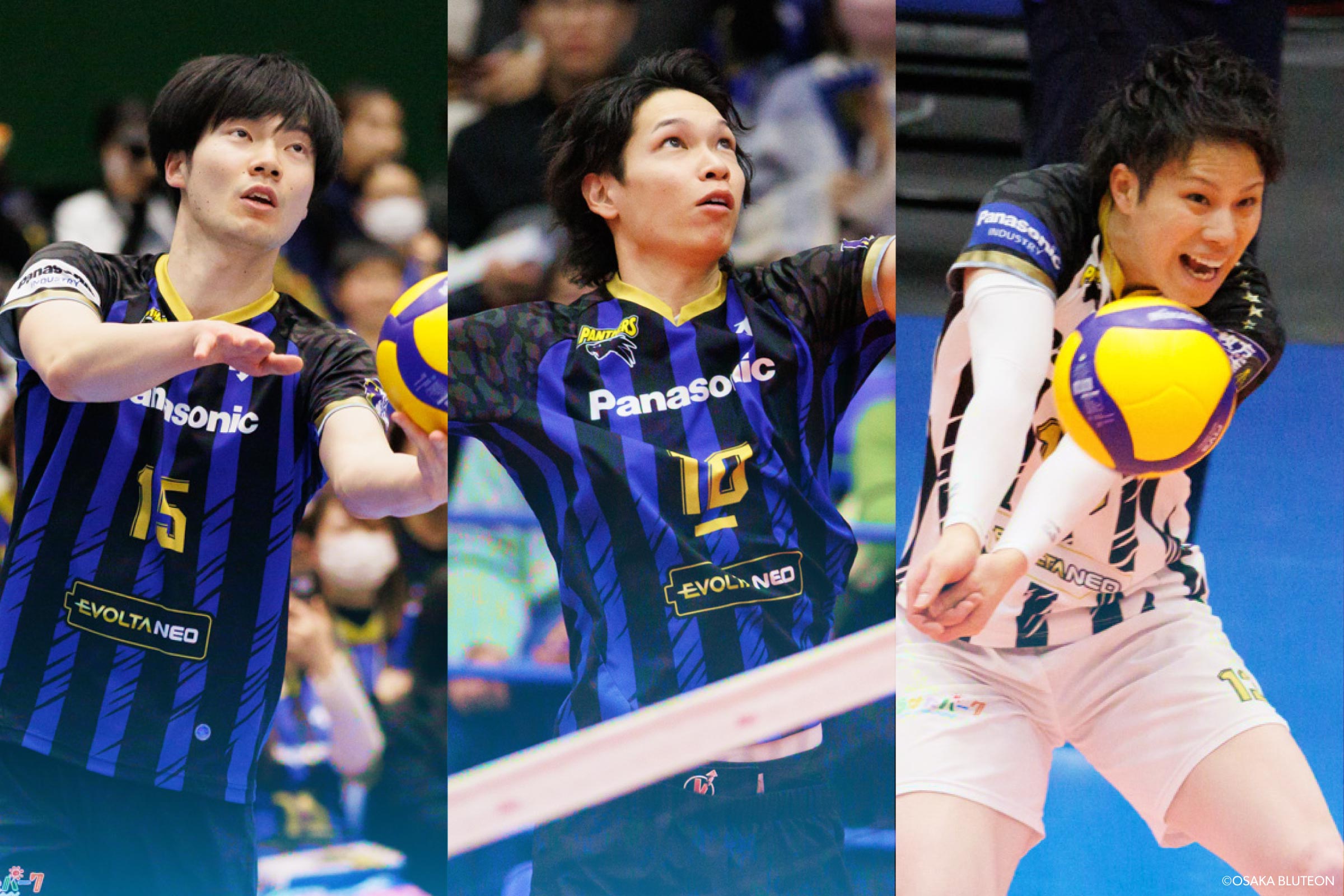 大塚達宣選手 オススメ！＜パナソニックパンサーズオリジナル帯