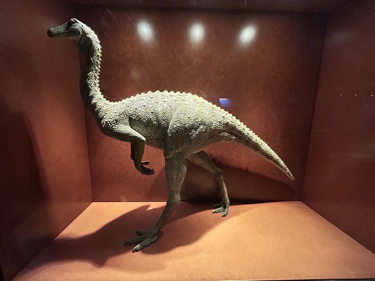 drharsh89's tweet photo. The lost world!!! #Dinosaurs @NHM_London #London @GOSH https://t.co/UHqQ0XYNW9