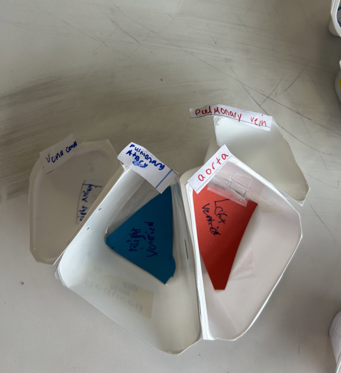 MDouglas2020's tweet photo. S4 creating heart models out of yoghurt pots, great way of applying knowledge &amp; making sure everyone’s had breakfast 🫀 https://t.co/BhwG0crKze