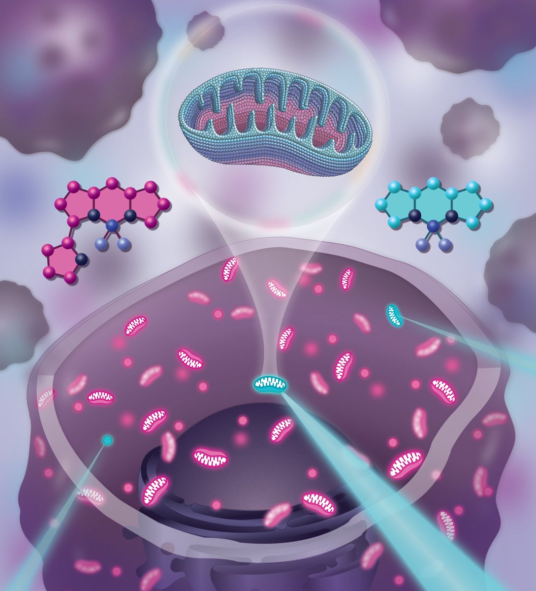 Mayeul Collot (@mayeul_collot) on Twitter photo For your cover art and design needs, don't hesitate to contact <a href="/GaudinKim/">Kim Gaudin</a>. She's a talented scientist and designer who will be happy to promote your science. #sciart #scicomm #scientificillustration For your cover art and design needs, don't hesitate to contact <a href="/GaudinKim/">Kim Gaudin</a>. She's a talented scientist and designer who will be happy to promote your science. #sciart #scicomm #scientificillustration