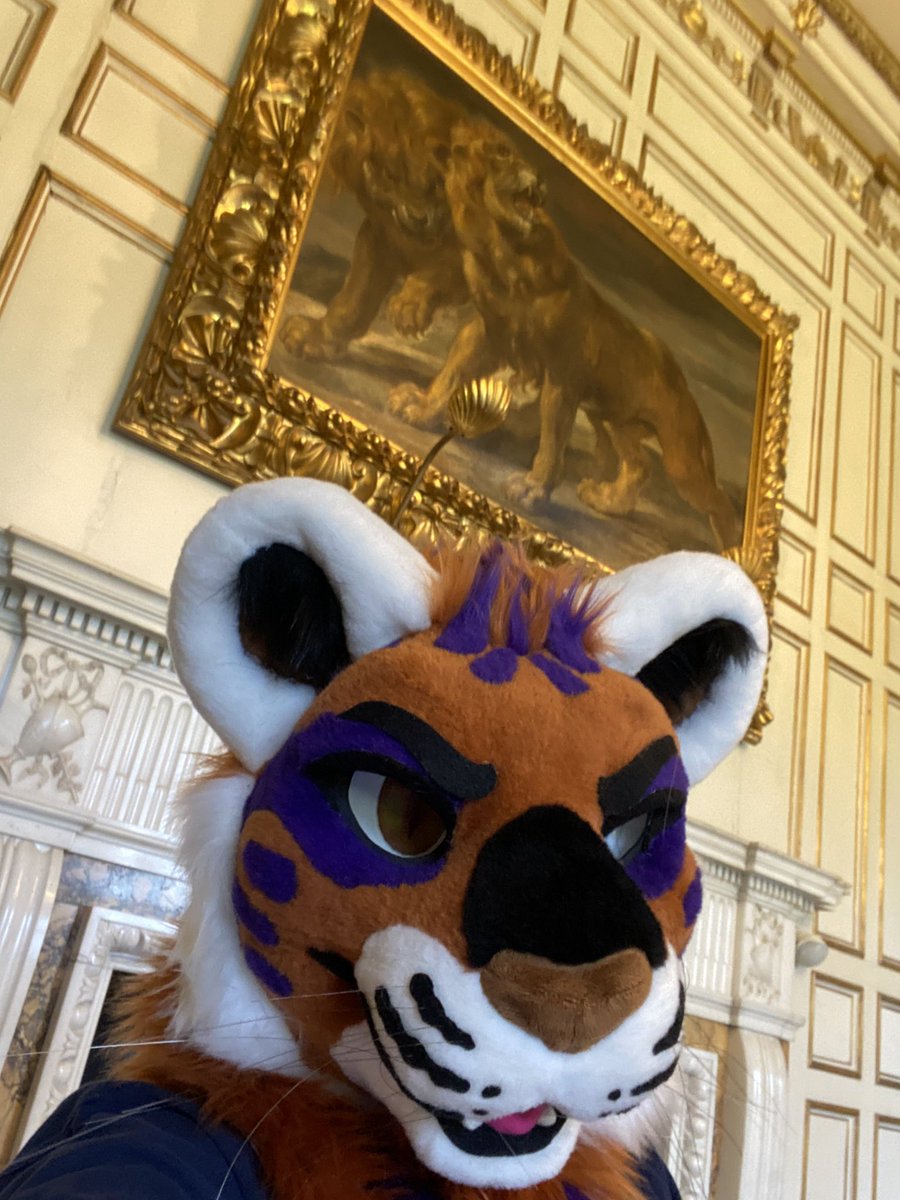 Tigers are sooooo much better than Lions!! I think you should paint me! 😘