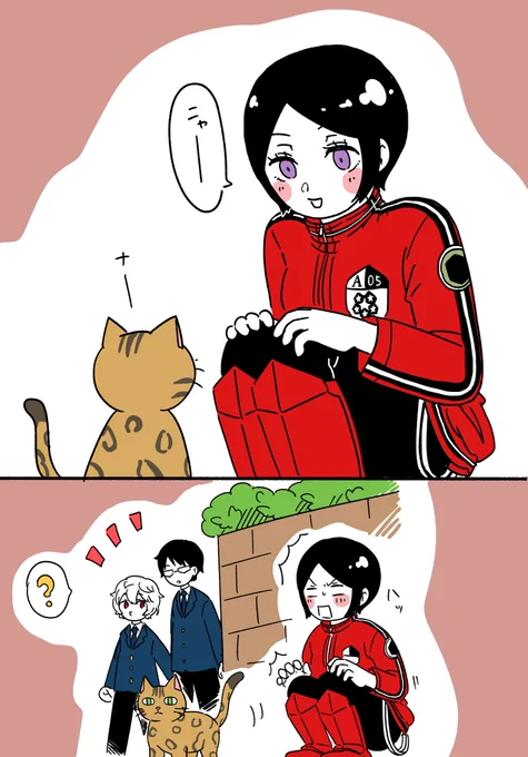ねこ事情 