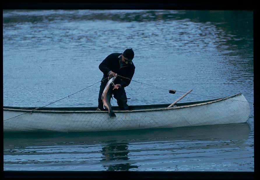 One thing for sure, that Innu never forget the legends, stories, and language, because of this wonderful teachers we have when we grown up. We were proud to remain as Innu.