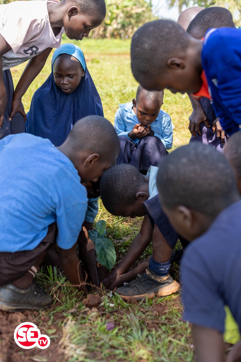 SEtvAfrica's tweet photo. Pupils of Budde UMEA primary school happily plant trees in their  compound after being taught the importance of planting and growing trees.  #bugandaenvironmentweek https://t.co/ej46gBuaD3