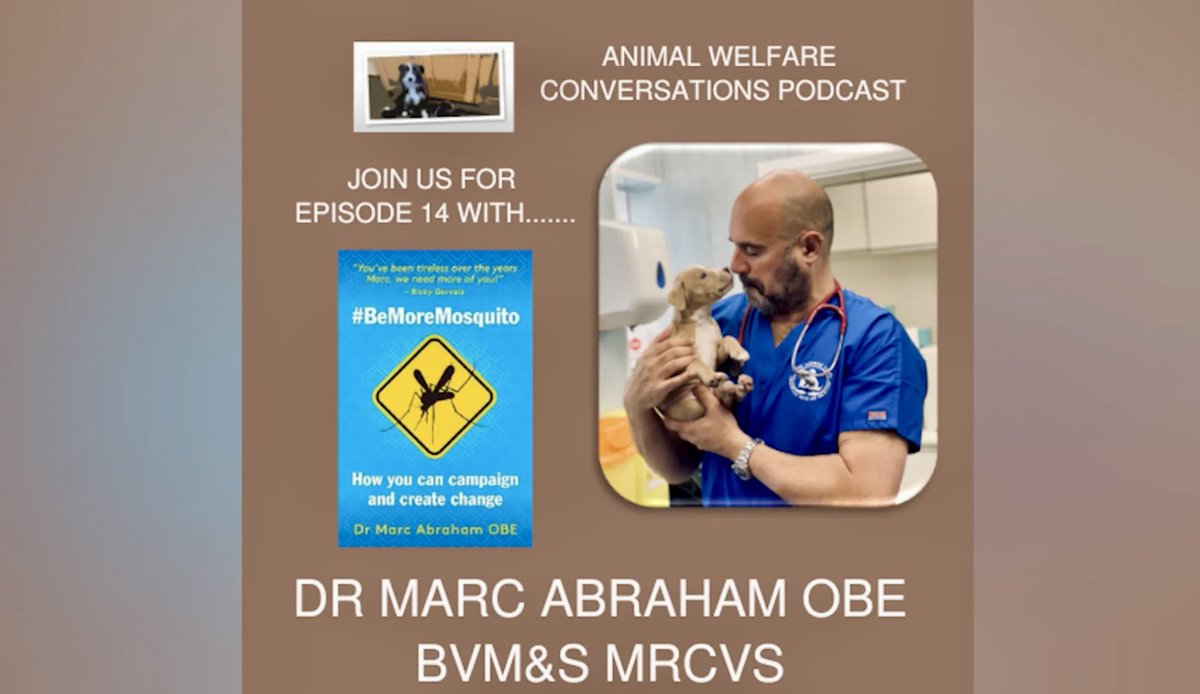 PODCAST: 'Campaigning for lasting change' Enjoyed chatting to fellow vet Mary Fraser about grassroots campaigning, parliamentary activism, being a vet, pets as commodities, school visits, #Dogspiracy, #LucysLaw, @apdawg1 &amp; loads more! Link: animalwelfareconversation.com/episode-14-dr-… #AnimalWelfare