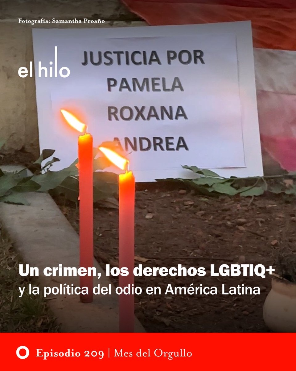 El hilo tweet media