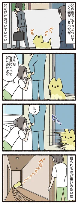 ねこようかい べとべとさん
#ねこもんすたー #ねこようかい 