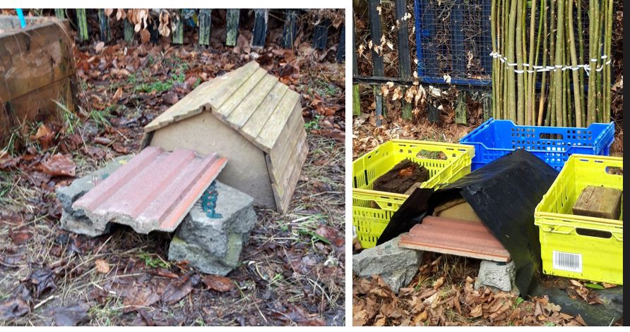 HarrysmuirPS's tweet photo. @MrsCarder_hps Our #PocketGarden is now complete! Our mini sustainable garden tells the story of ‘The Hill at Harrysmuir’ an ant hill that hides a secret hedgehog home.  Vote for us @KSBScotland online showcase: https://t.co/qPXHpgiGaW
@hogfriendly @hedgehogsociety #HogFriendly https://t.co/dOVaFG0wYJ