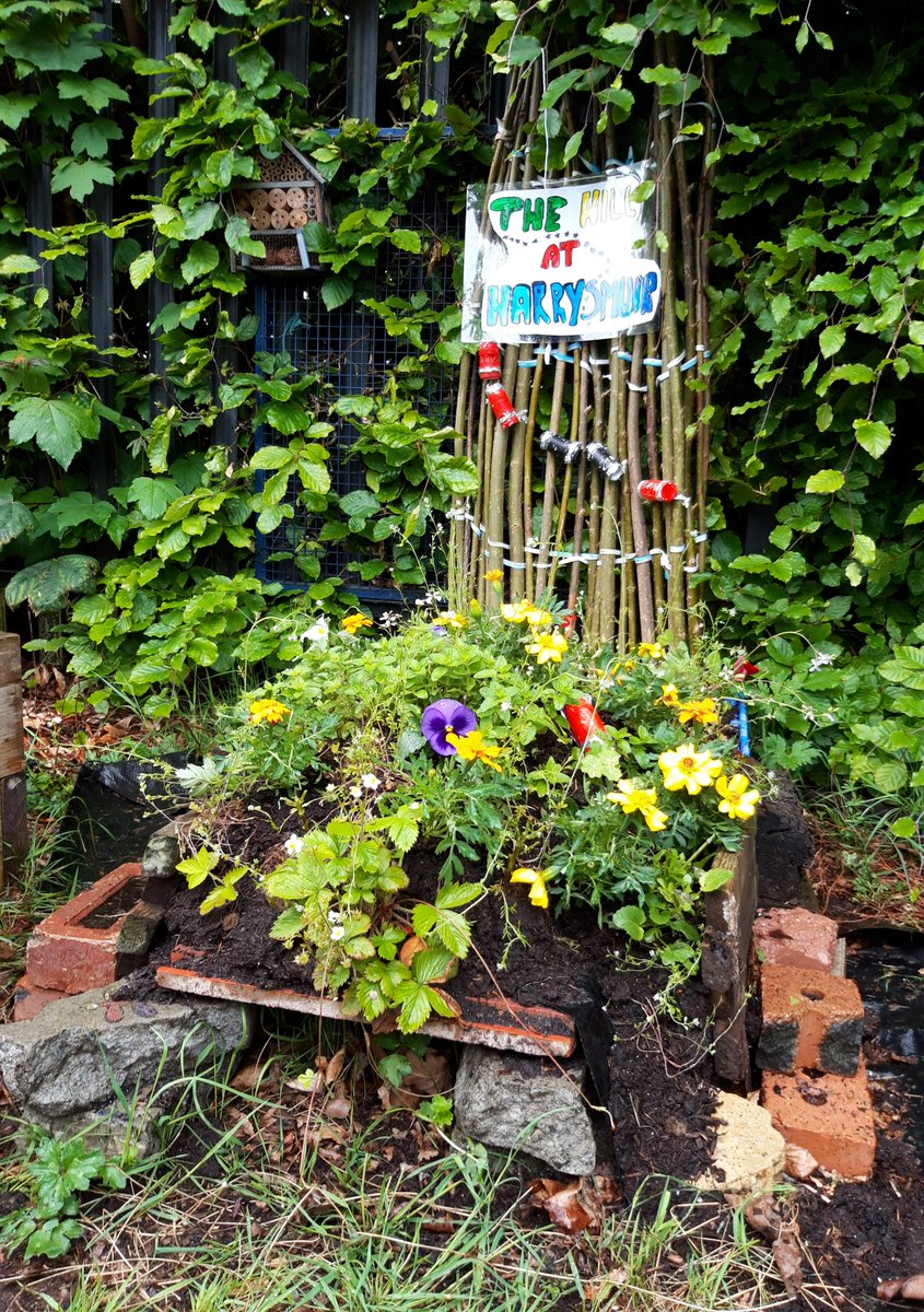 <a href="/MrsCarder_hps/">Elaine Carder</a> Our #PocketGarden is now complete! Our mini sustainable garden tells the story of ‘The Hill at Harrysmuir’ an ant hill that hides a secret hedgehog home.  Vote for us <a href="/KSBScotland/">Keep Scotland Beautiful</a> online showcase: keepscotlandbeautiful.org/pocket-garden
@hogfriendly <a href="/hedgehogsociety/">Hedgehog Society</a> #HogFriendly
