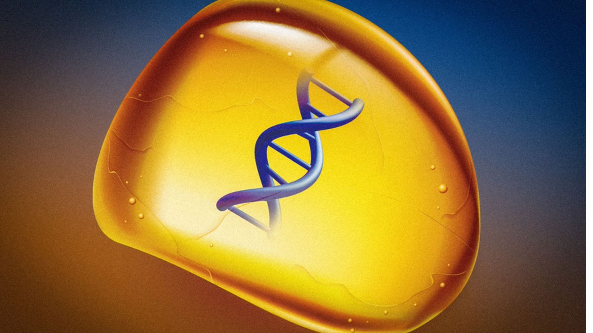 CurieuxExplorer's tweet photo. MIT’s Jurassic Park-like DNA storage can store photos, music for centuries.
🔗 https://t.co/UyuKc9jIQ6
@fogle_shane @mvollmer1 @baski_LA @jeancayeux @Nicochan33 @Shi4Tech @FrRonconi @gvalan @Eli_Krumova @TanyaSinha_
#DNAScience #DataStorage #MIT #FutureTech #Biotechnology https://t.co/WfooznyGQi