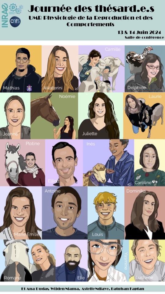 Sensor Team tweet media