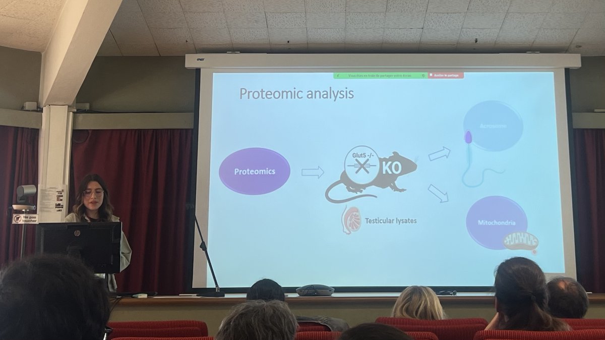 Sensor Team tweet media