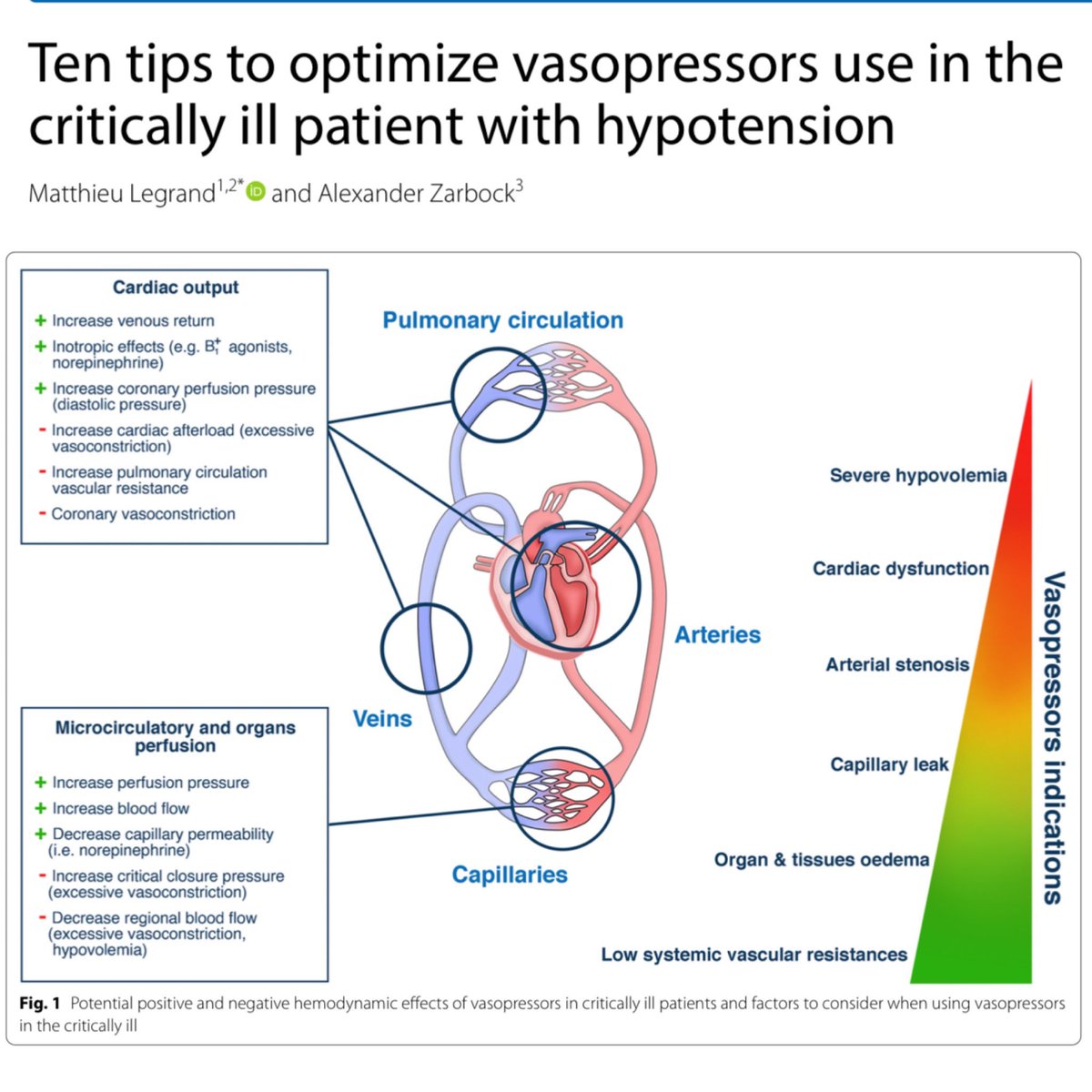 Eddy J. Gutierrez, MD (@eddyjoemd) on Twitter photo Here’s a paper that briefly tackles vasopressin in RV failure, the max doses of vasopressors, stress dose steroids, nutrition, peripheral vasopressors, etc. 🎩 tip to the authors.
eddyjoemd.com/foamed/ Here’s a paper that briefly tackles vasopressin in RV failure, the max doses of vasopressors, stress dose steroids, nutrition, peripheral vasopressors, etc. 🎩 tip to the authors.
eddyjoemd.com/foamed/