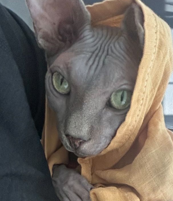 HONEY WAKE UP NEW PI PICS JUST DROPPED