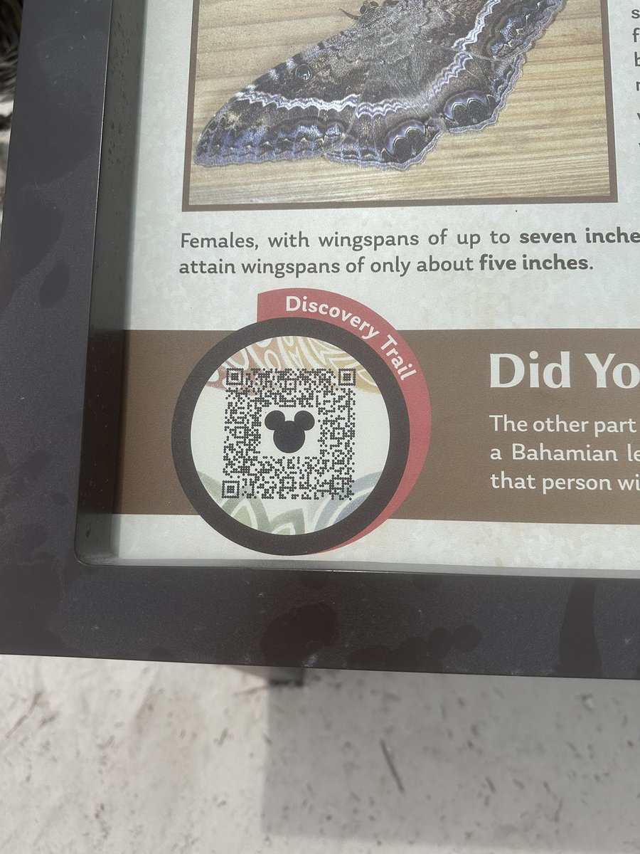 The nature trail is a nice addition to Disney’s Lookout Cay at Lighthouse Point.  There are markers along the way for learning and each contains a QR code to scan for additional information. #Disney #LighthousePoint #LookoutCay