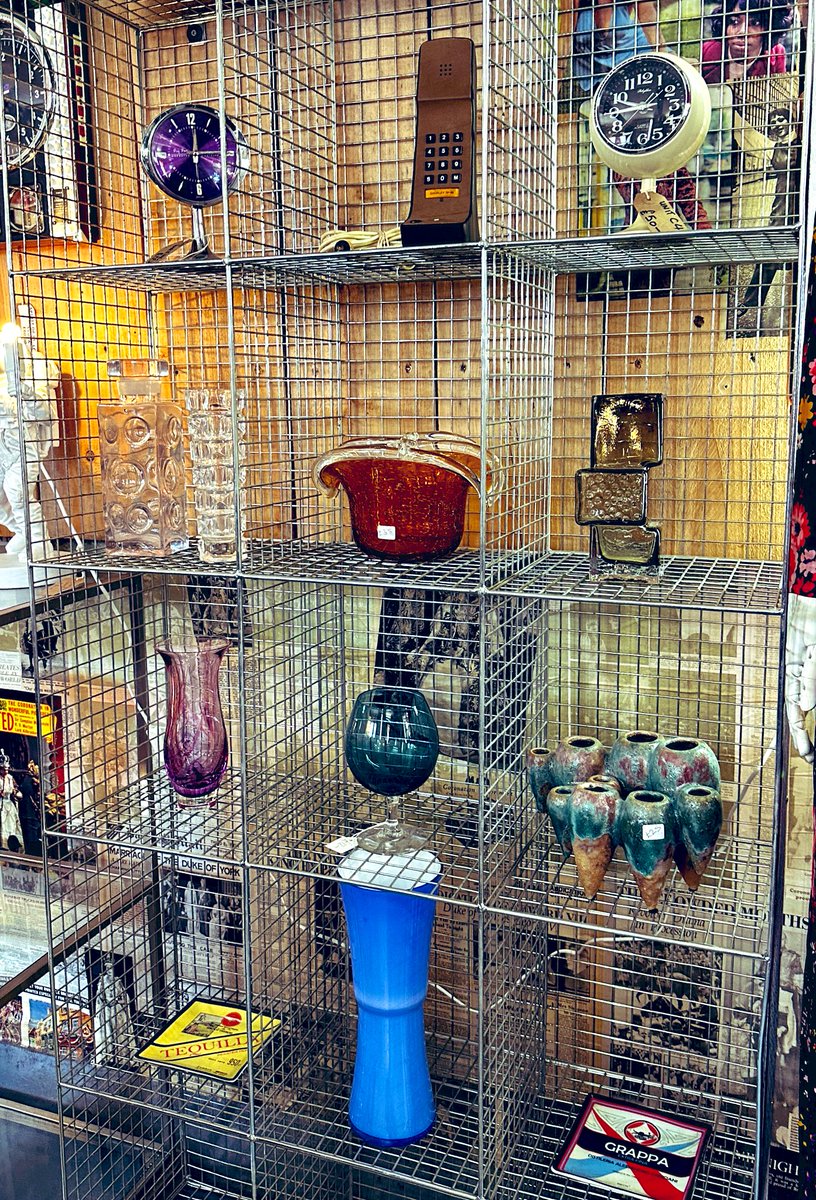 Sharon Stevens-Cash tweet media