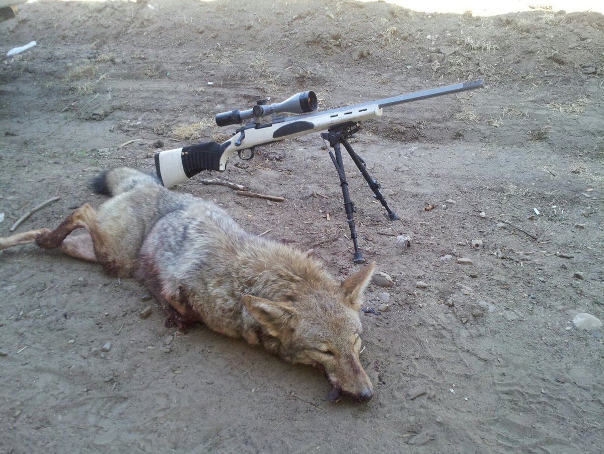 NH Citizens Against Recreational Trapping tweet media