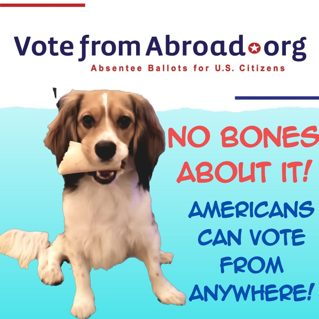 DemsAbroad's tweet image. #DemsAbroad #PetsForBiden