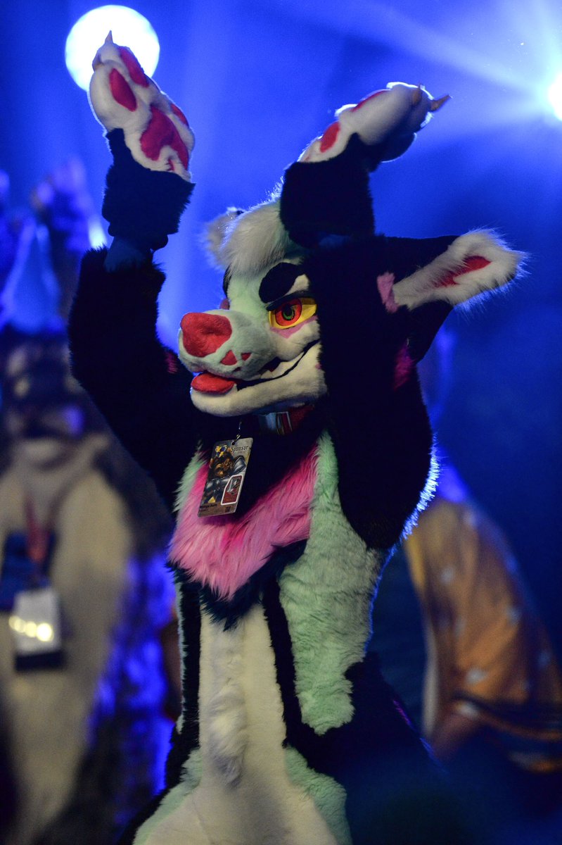 Anyone wanna start a dancing funny dog train? 🥺 
Reply or RT w your dancing funny dogs this #fursuitfriday !

📸St4lkius