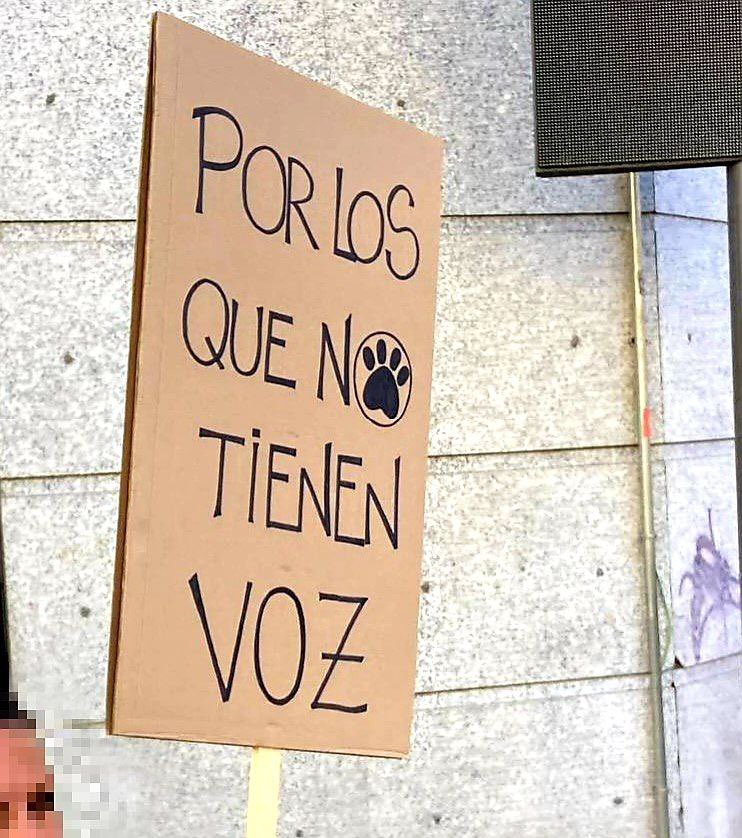 ¿Quieres conocer la postura de @VerdesEquo_ #Fuenlabrada sobre la moción de <a href="/popularesfuenla/">PP de Fuenlabrada🇪🇸</a> en relación a la tauromaquia 🐂? 

Entonces no puedes perderte este artículo de Diversifuenla donde se explica qué pensamos y qué proponemos.

diversifuenla.es/verdes-equo-fu…