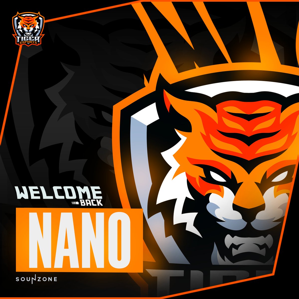 Tiger Esports tweet media