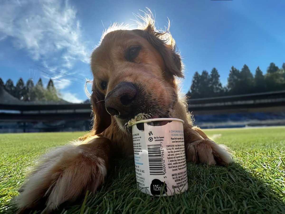 Janine Bennett tweet media