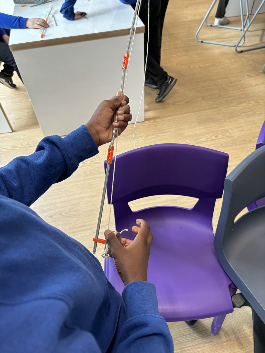 Victoria Primary 6B tweet media