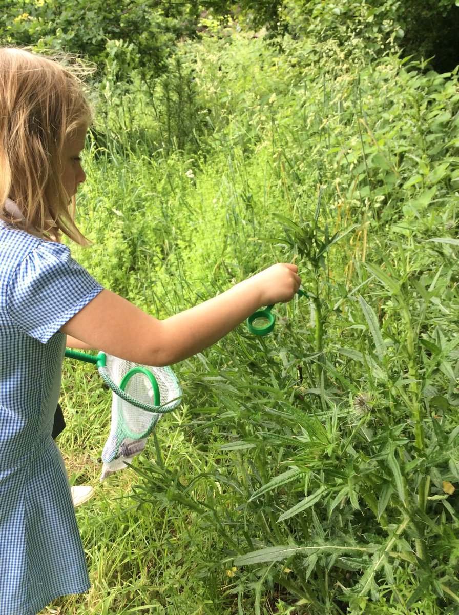 NectonPrimary's tweet image. Last week, we enjoyed our Necton Science Week at school. We had a thrilling visit from Professor Stephen Ashworth and spent extra time learning about science both indoors and outdoors #nectonlovesscience