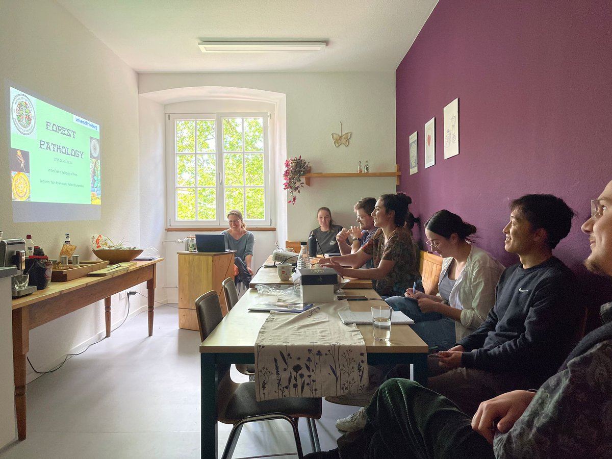 TreePathoMycoLab Freiburg 🧬🌲🌳🍄🪵🦠🧫🔬 tweet media