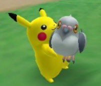 PokemonGems's tweet photo. hold https://t.co/7z48CpUIdj