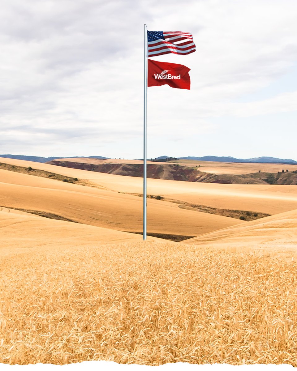 There’d be no amber waves of grain across our beautiful nation if it wasn’t for the red, white and blue that started flying above it in 1777. 🇺🇸🌾 Happy birthday to Old Glory. #FlagDay 🎂🎉

#SeizeTheSeason