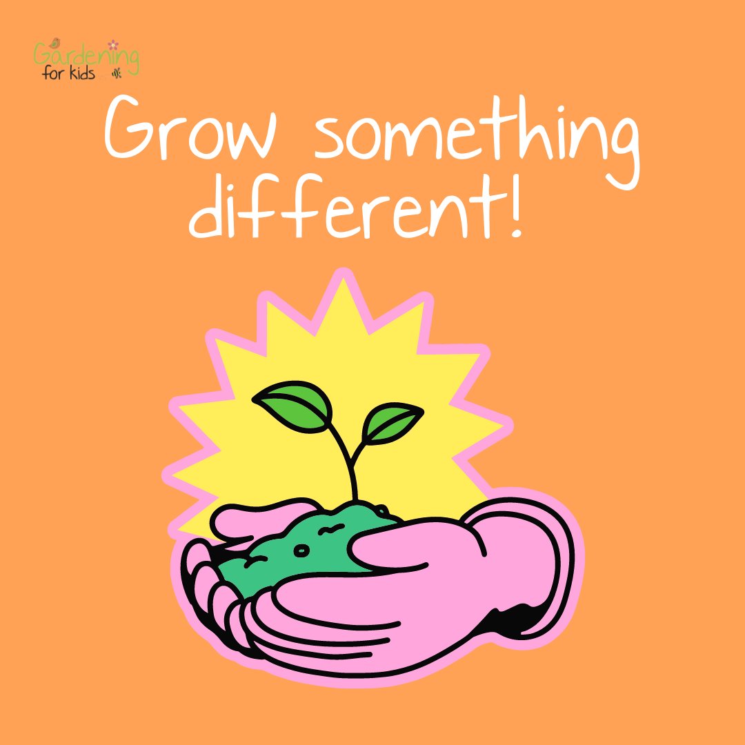 The Grow Something Different range is designed just for kids by us here at Gardening for Kids and provides some brand new varieties of exciting and interesting plants for children to grow.

👉 gardeningforkids.co.uk/collections/gr…