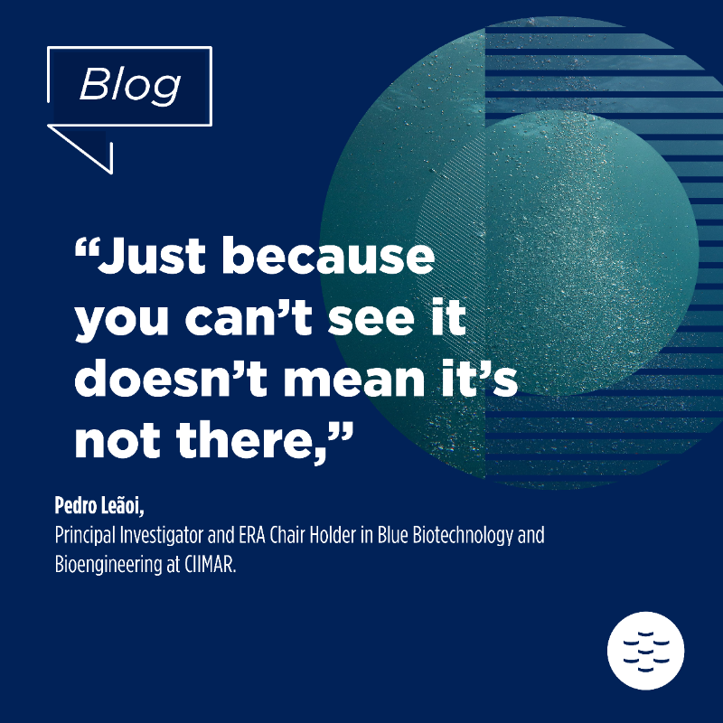 EMBRC_EU's tweet photo. #EMOBON I Microorganisms are invisible protectors of our environment

EMO BON’s sampling campaign aims to
🔎 Reveal the unseen #MarineLife
🔵Monitor biodiversity health
🔵Understand complex natural system

#WorldOceanDay

@SBRoscoff @CiimarUp @OBON_Ocean @UNOceanDecade @cpavloud