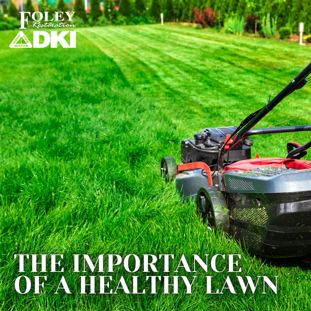 A healthy lawn can protect your home from fire! Healthy grass, that’s watered, fertilized and cut regularly is less likely to catch fire from a stray spark from a BBQ or firepit.

If the worst happens and a fire damages your home, visit: foleyrestoration.com