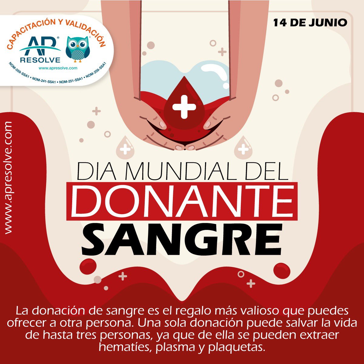 AP_Resolve's tweet image. 📅Hoy es 14 de junio y es el #diamundialdeldonantedesangre 🩸para agradecer a los donantes su colaboración

#efemérides #Salud #Sangre #Donante #2024trends 

apresolve.com