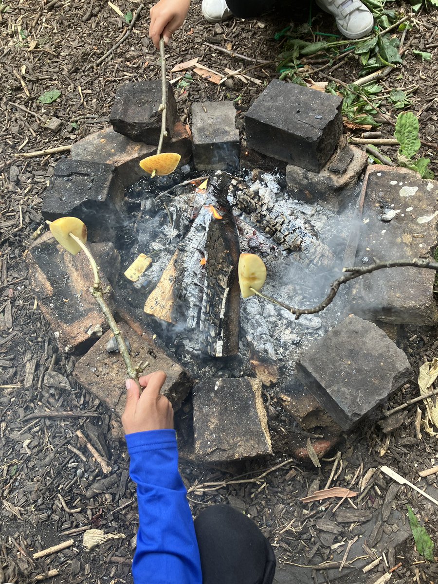 foodgrower's tweet photo. My week with @ColfesSchool #nursery #potatoharvest, yr2 #salad of #mustard, #rocket #radishflowers #fathen, #campfire #pizzas, #garlicbread with #homegrown #garlic #reception, #toastedapple , #claycreatures & #stickweaving #summertrip. 6 #campfires, 180 #children #forestschool https://t.co/5JFkYQLB5C