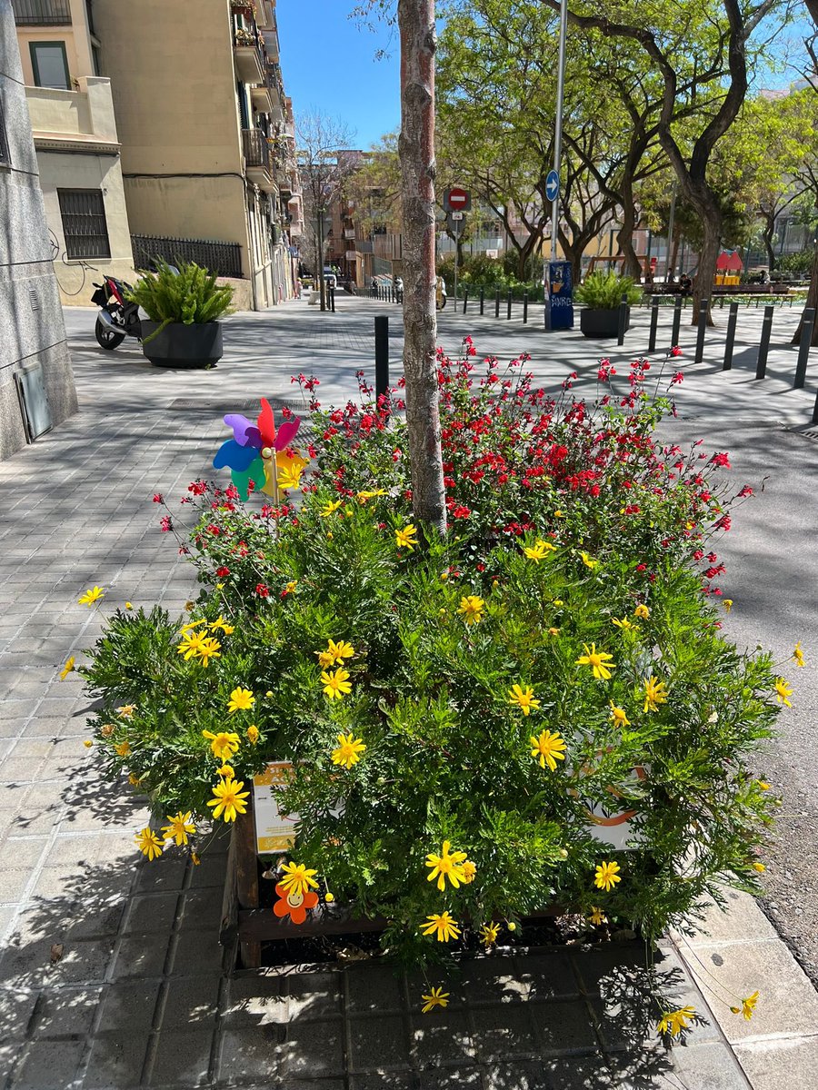 avplacafarga's tweet photo. Ja fa dos anys que vam començar a animar el veïnat a apadrinar #escocells al barri. En aquest temps algunes voreres s’han convertit en petits jardins que alegren l’espai. Tu també pots col·laborar a fer un entorn més amable i verd! https://t.co/0jroljyyhQ