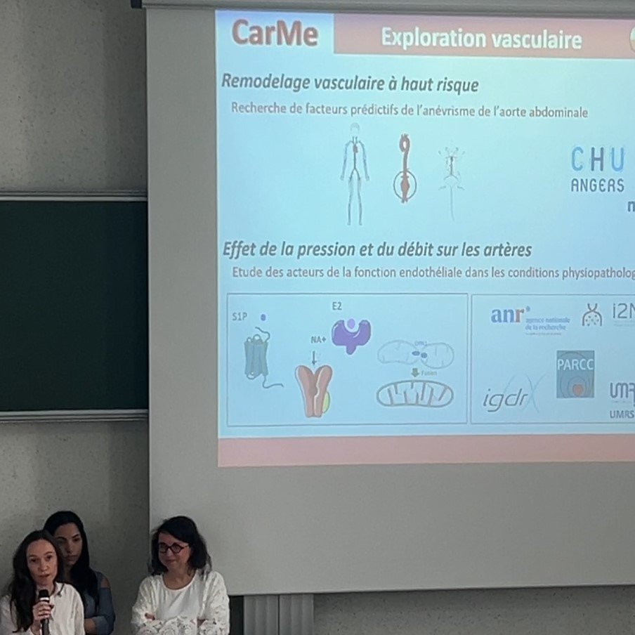 Presentation of the CarMe team of <a href="/mitovasc/">MitoVasc</a> unit at the biomedical research day in Angers <a href="/SfrIcat/">SFR ICAT</a> .