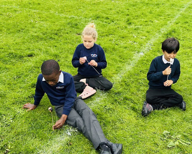 Kaizen Primary tweet media