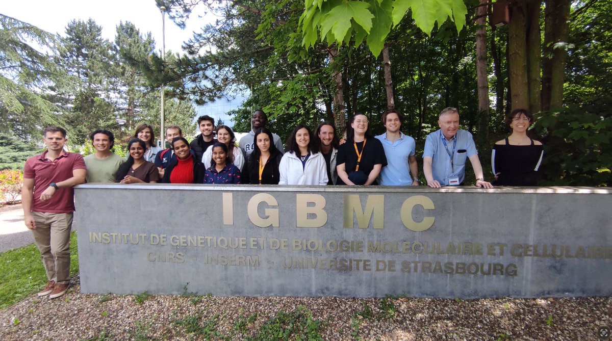 ISUnet's tweet photo. #ISU #MSSExpress #MScSpotlight
@ISUnet  Masters #MSc24 #MSS24 students have embarked on their second Advanced Study in Astrobiology, marking the final course of the year. The course began with an inspiring keynote address by ISU alum Pierre-Yves Cousteau. Flick throu the pics! https://t.co/QmCRvQy7KL