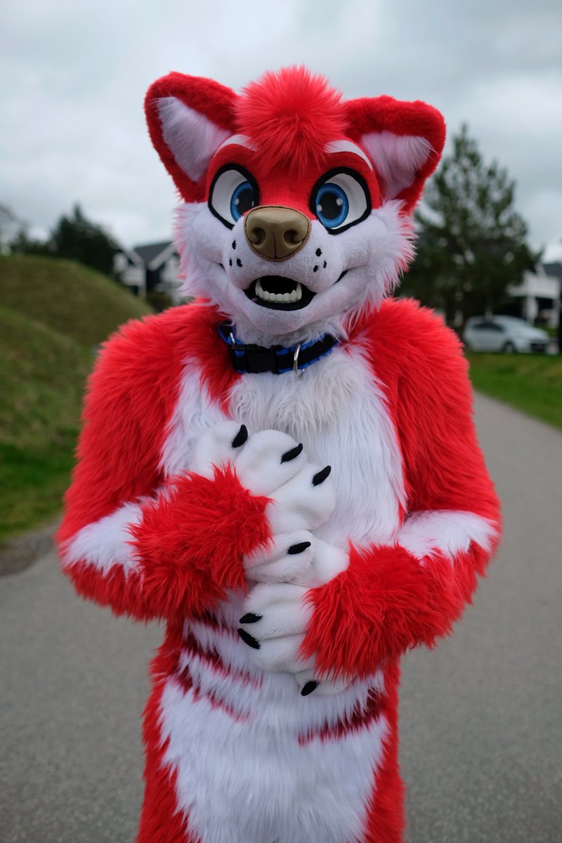 Sirius the 🐶 @ NFC (@siriusblur) on Twitter photo “Who’s a good dog?!” Is it meeee?? 😃
Happy #FursuitFriday !
📷 <a href="/MeekoTooth/">Meeko 🔜 FWA</a>
✂️ <a href="/AlphaDogsStudio/">Alpha Dogs</a> “Who’s a good dog?!” Is it meeee?? 😃
Happy #FursuitFriday !
📷 <a href="/MeekoTooth/">Meeko 🔜 FWA</a>
✂️ <a href="/AlphaDogsStudio/">Alpha Dogs</a>